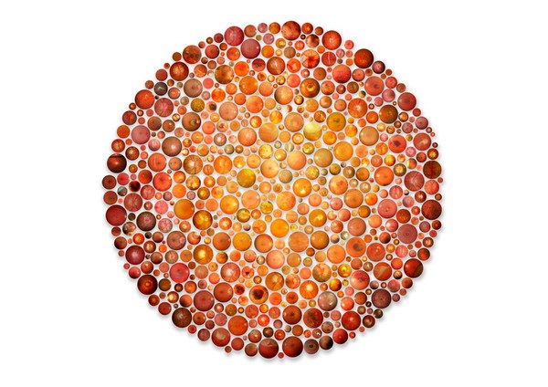 Ishihara Colour Vision test compiled using retina