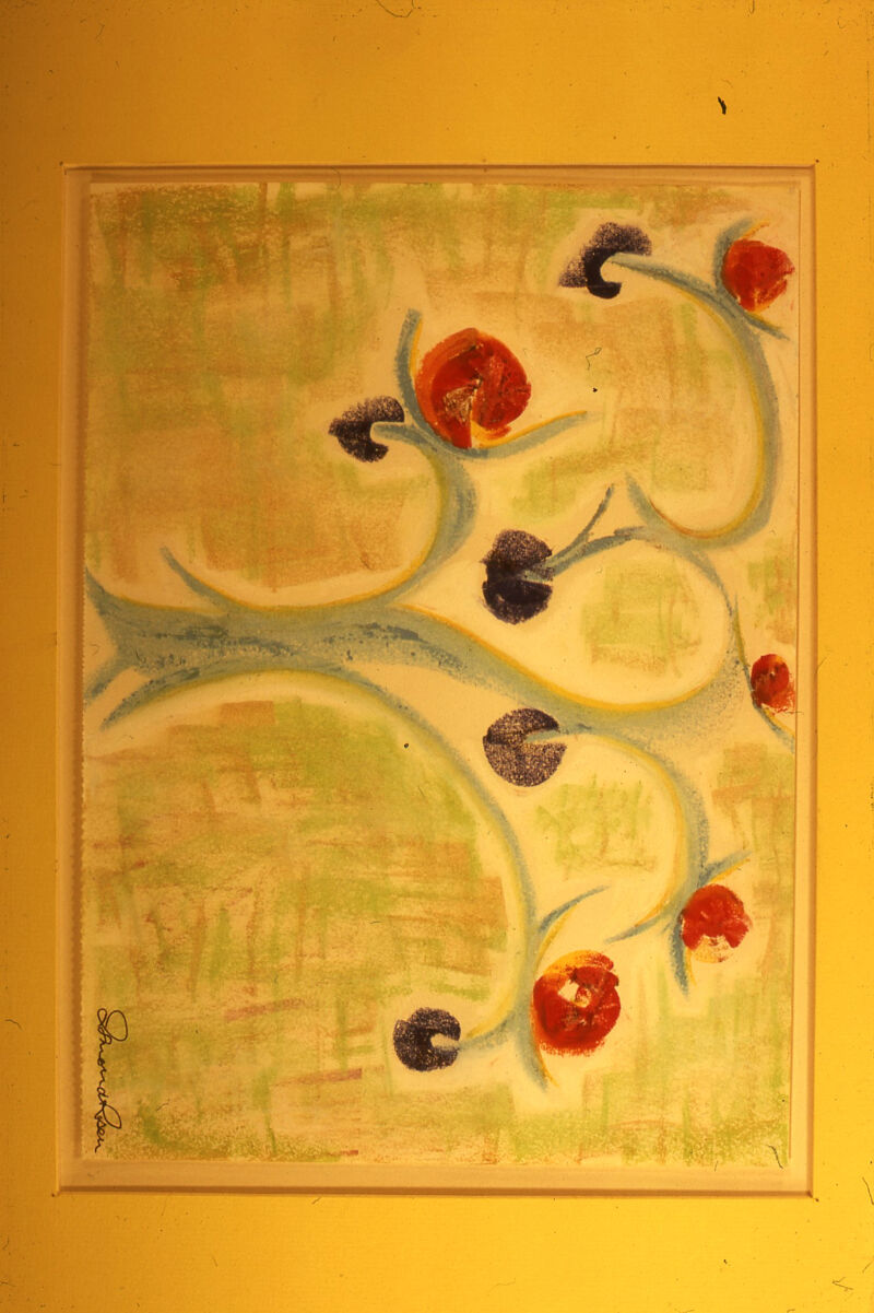 No text description is available for this image