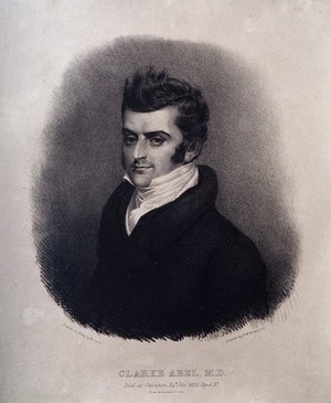 view Clarke Abel. Lithograph by M. Gauci after P. W. Wilkin.