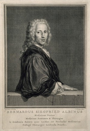 view Bernhard Siegfried Albinus. Engraving by J. Houbraken after C. de Moor.