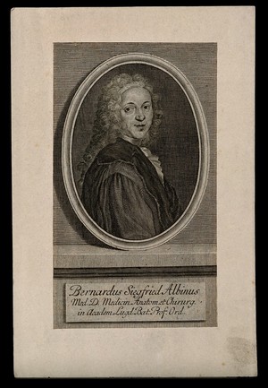 view Bernhard Siegfried Albinus. Line engraving.