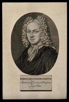 Bernhard Siegfried Albinus. Line engraving.