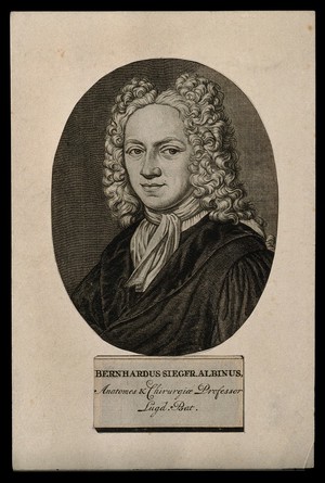 view Bernhard Siegfried Albinus. Line engraving.