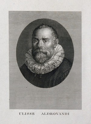 view Ulisse Aldrovandi. Line engraving by F. Rosaspina after himself.