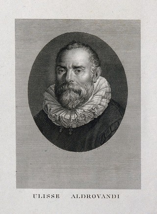 Ulisse Aldrovandi. Line engraving by F. Rosaspina after himself.