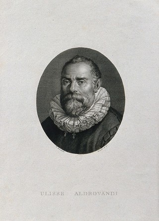 Ulisse Aldrovandi. Line engraving by F. Rosaspina after himself.