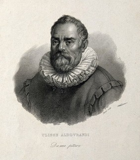 Ulisse Aldrovandi. Line engraving by G. Barni after F. Rosaspina.