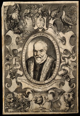 Ulisse Aldrovandi. Line engraving.