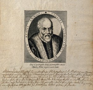 view Ulisse Aldrovandi. Line engraving.