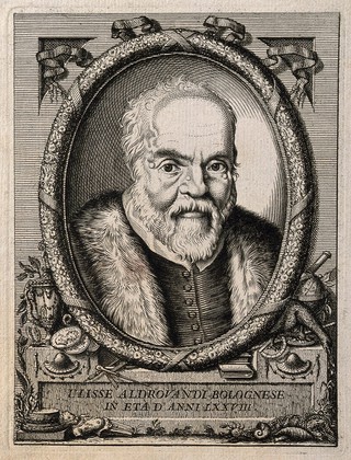 Ulisse Aldrovandi. Etching by P. Panfili, 1774.