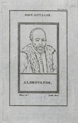 view Ulisse Aldrovandi. Etching, 1805.