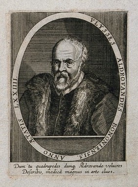 Ulisse Aldrovandi. Line engraving.