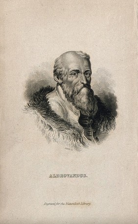 Ulisse Aldrovandi. Line engraving by W. H. Lizars, 1838.