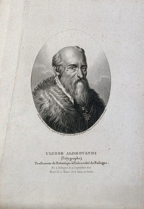 Ulisse Aldrovandi. Stipple engraving by A. Tardieu after C. Gandolfi.