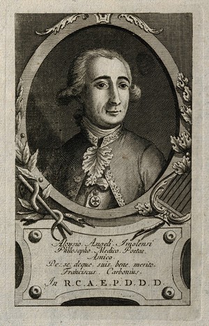 view Luigi Angeli. Engraving.