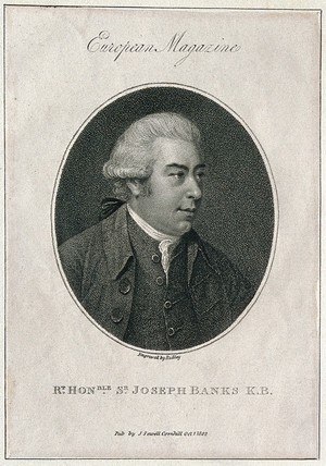 view Sir Joseph Banks. Stipple engraving by Ridley, 1802, after J. Russell, 1788.