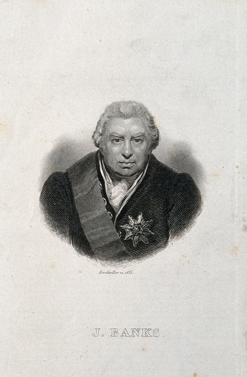 Sir Joseph Banks Stipple Engraving By C A D Hardiviller 1835