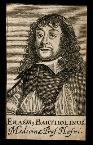 view Erasmus Bartholin. Line engraving, 1688.