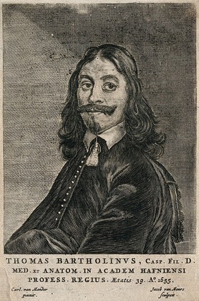 Thomas Bartholin. Line engraving by J. van Meurs, 1655, after C. van Mander III.