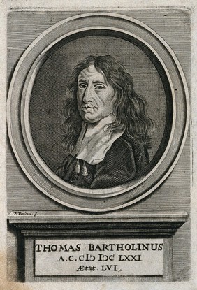 Thomas Bartholin. Line engraving by P. Pinchard, 1671, after H. Ditmer.