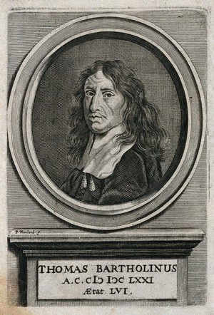 view Thomas Bartholin. Line engraving by P. Pinchard, 1671, after H. Ditmer.