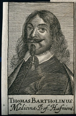 view Thomas Bartholin. Line engraving after C. van Mander III.