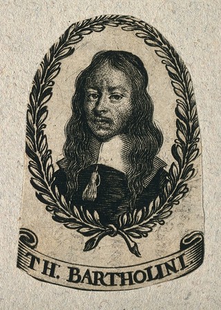 Thomas Bartholin. Line engraving.