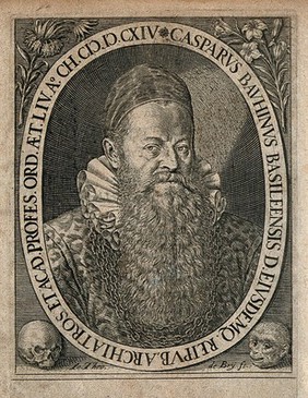 Caspar Bauhin. Line engraving by J.T. de Bry.