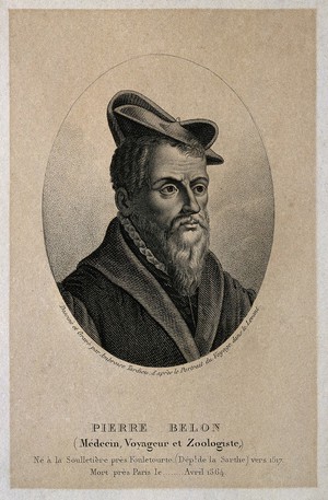 view Pierre Belon. Stipple engraving by A. Tardieu.