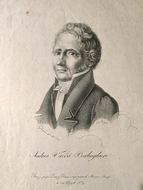 Andrea Vacca Berlinghieri. Lithograph by Targioni after I. Migliavacca.