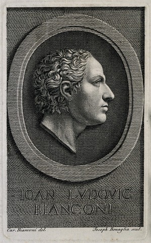 view Giovanni Lodovico Bianconi. Line engraving by J. Benaglia after C. Bianconi.
