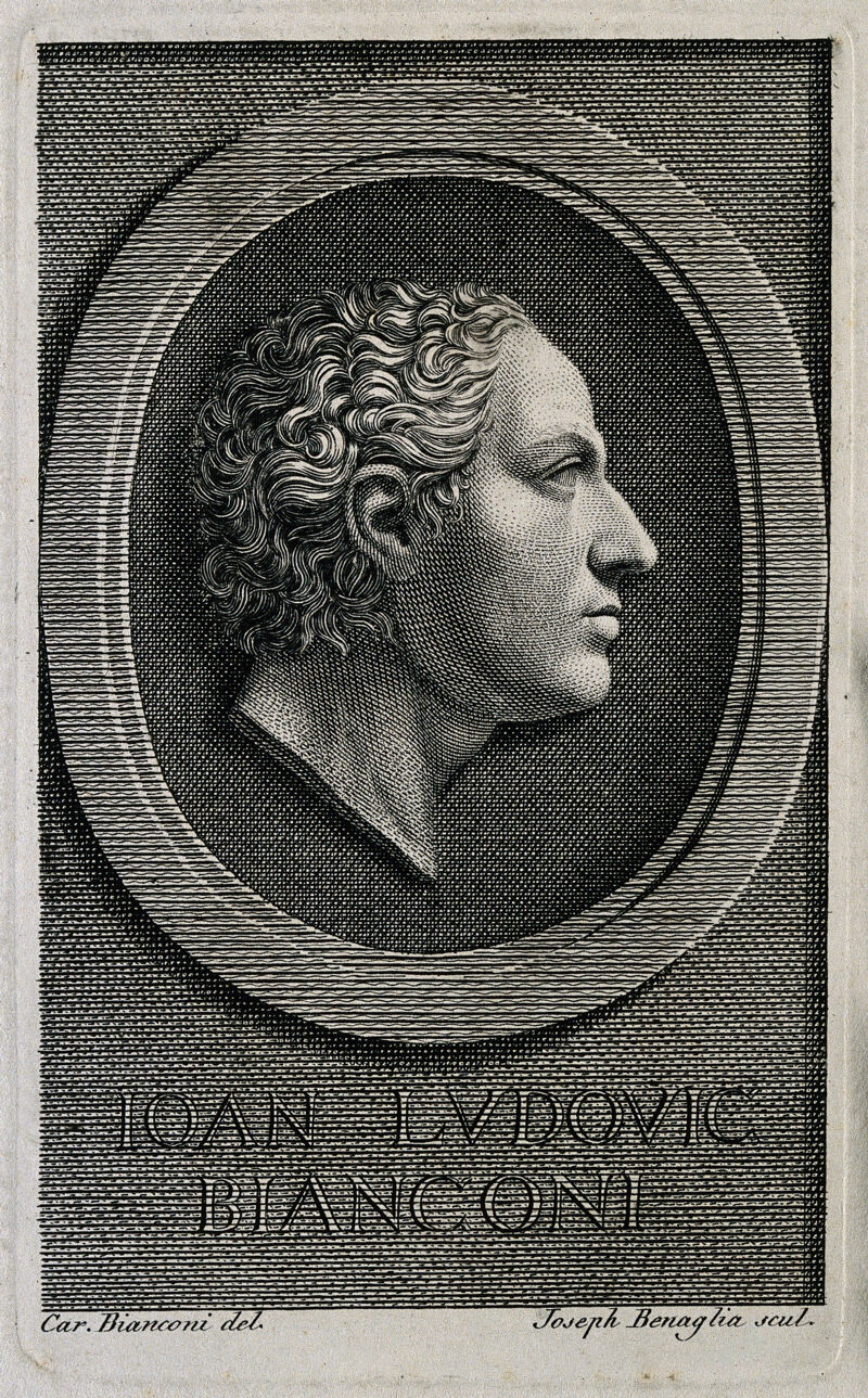 Giovanni Lodovico Bianconi. Line engraving by J. Benaglia after C. Bianconi., by Carlo Bianconi