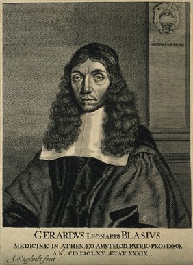 Gerhard Blaes [Blasius]. Line engraving by A. van Zylvelt.