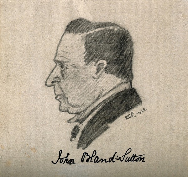 Sir John Bland-Sutton. Pencil drawing by [DCL], 1928.