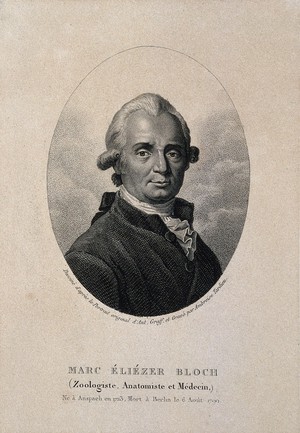 view Marc Eliézier Bloch. Stipple engraving by A. Tardieu after A. Graff.