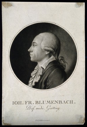 view Johann Friedrich Blumenbach. Mezzotint by J.E. Haid.