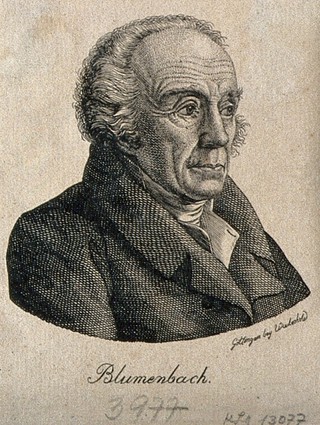 Johann Friedrich Blumenbach. Engraving.