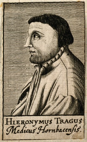 Hieronymus Bock [Tragus]. Line engraving after D. Kandel, 1688.