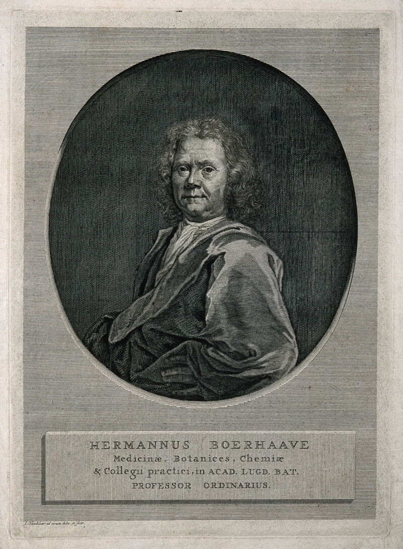 Hermann Boerhaave. Line engraving by J. Wandelaar., 1725, by Jan Wandelaar