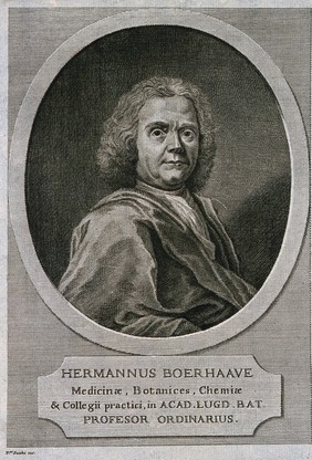 Hermann Boerhaave. Line engraving by F. Zucchi.