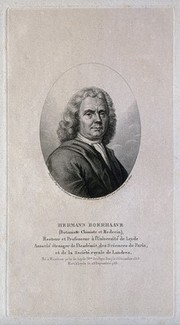 Hermann Boerhaave. Stipple engraving by A. Tardieu after J. Wandelaar.