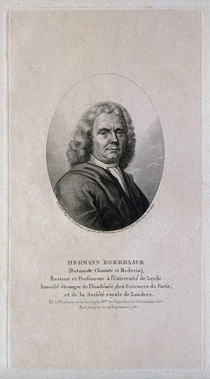 view Hermann Boerhaave. Stipple engraving by A. Tardieu after J. Wandelaar.