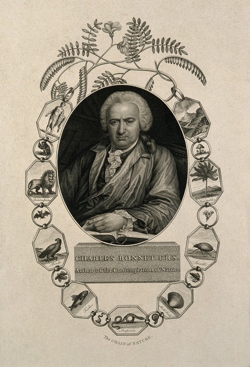 Charles Bonnet. Engraving by J. Caldwall, 1802 after J. Juel