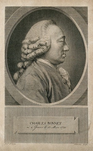 view Charles Bonnet. Line engraving by J.F. Clemens after J. Juel, 1779.