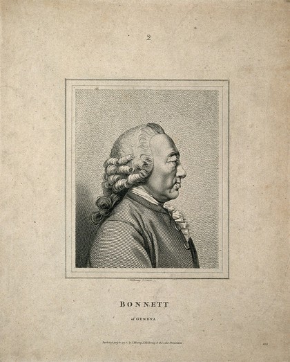 Charles Bonnet. Line engraving.