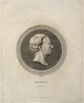 Charles Bonnet. Line engraving.