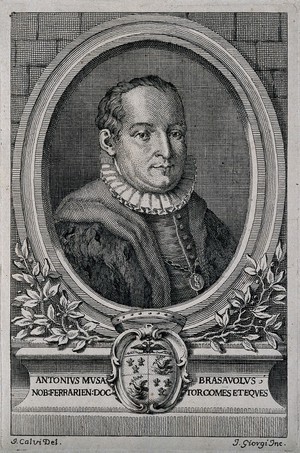 view Antonio Musa Brasavola. Line engraving by J. Georgi after J. Calvi.