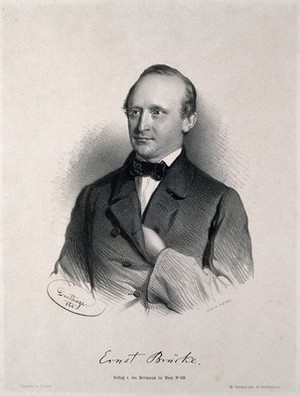 view Ernst Wilhelm von Bruecke. Lithograph by A. Dauthage, 1860.