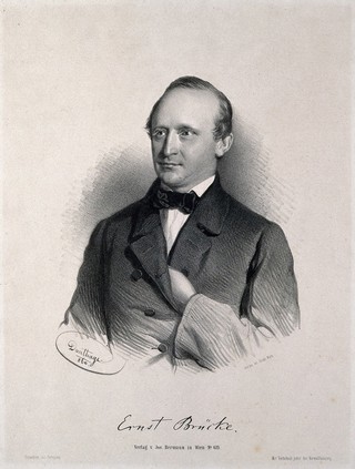 Ernst Wilhelm von Bruecke. Lithograph by A. Dauthage, 1860.