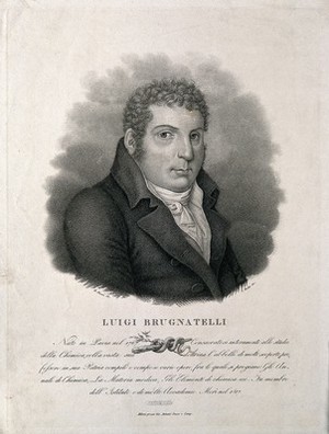 view Luigi Valentino Brugnatelli. Lithograph by L. Rados after R. Focosi.